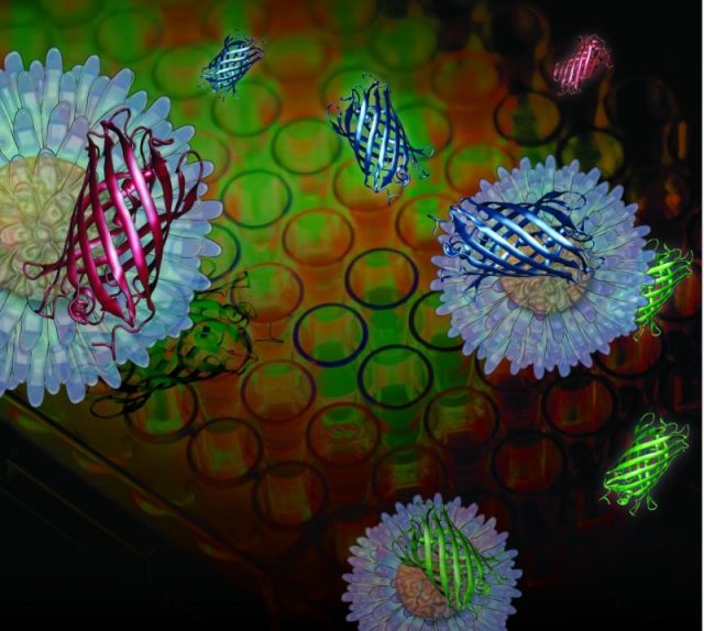 sensor-nanopartikel-emas-161214 nanopartikel emas, obat kanker
