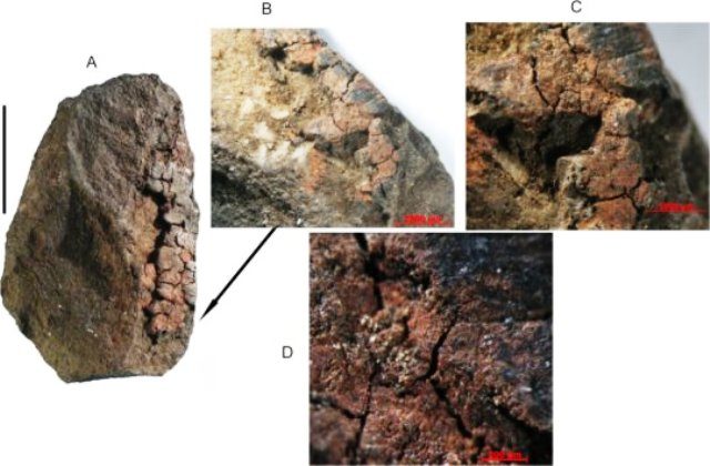 cat-berbasis-ochre-dan-susu-manusia-purba-020715 cat, susu, ochre, manusia purba