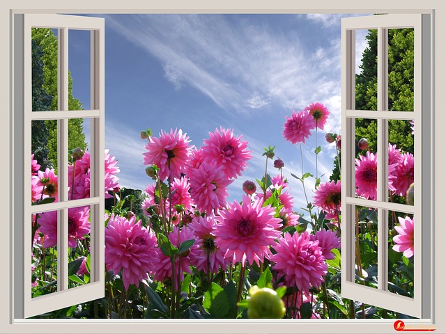 bunga, jendela