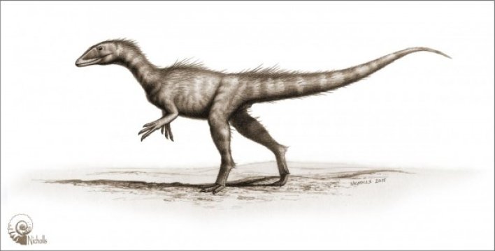 dinosaurus, Dracoraptor hanigani