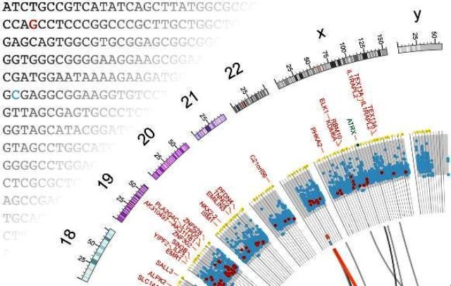 mutasi, bioinformatika, kanker kandung kemih
