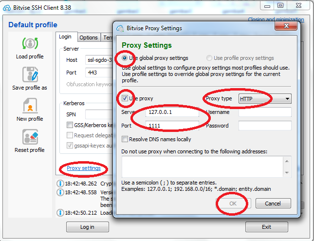 Setting Bitvise SSH Client