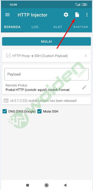 import config http injector