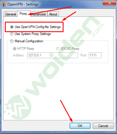 setting openvpn di pc