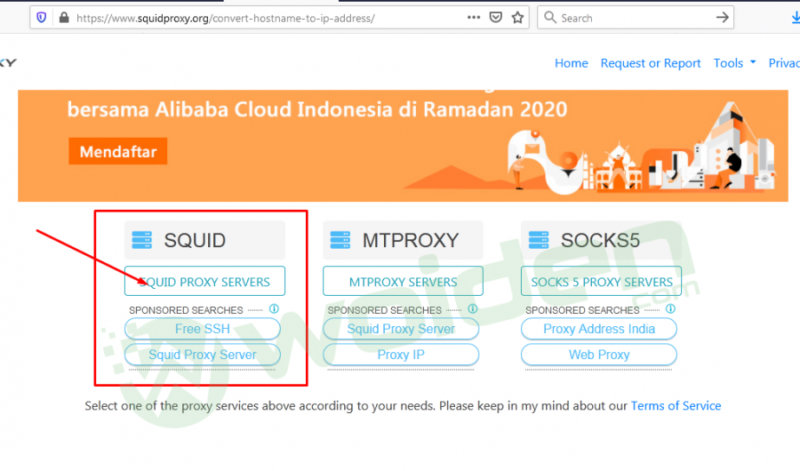 Cara Mendapatkan Squid Proxy Gratis